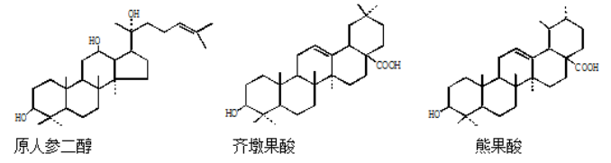 图片加载失败